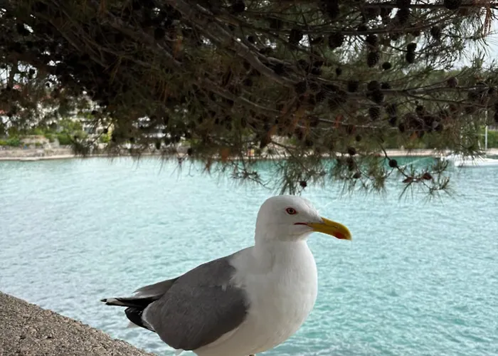 Maja Apartment Dobrinj